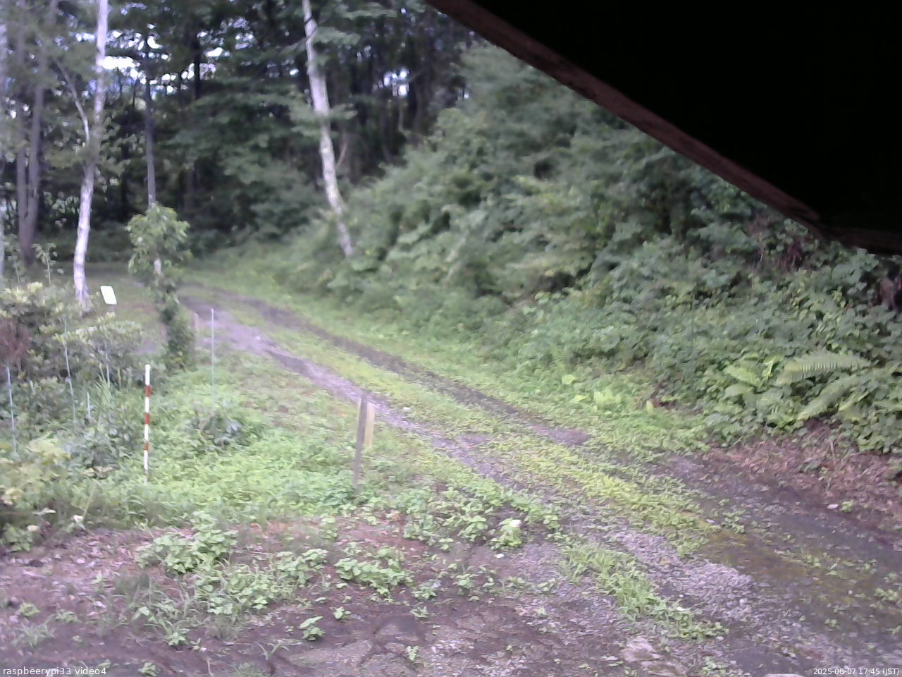 長野県菅平高原 ゆたか山荘 東側(坂下) 2025/08/07 17:45