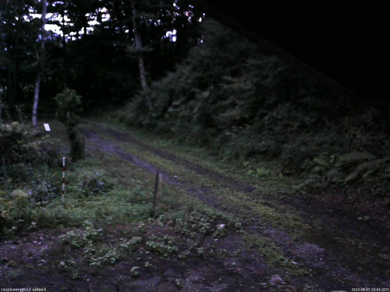 長野県菅平高原 ゆたか山荘 東側(坂下) 2025/08/07 18:45