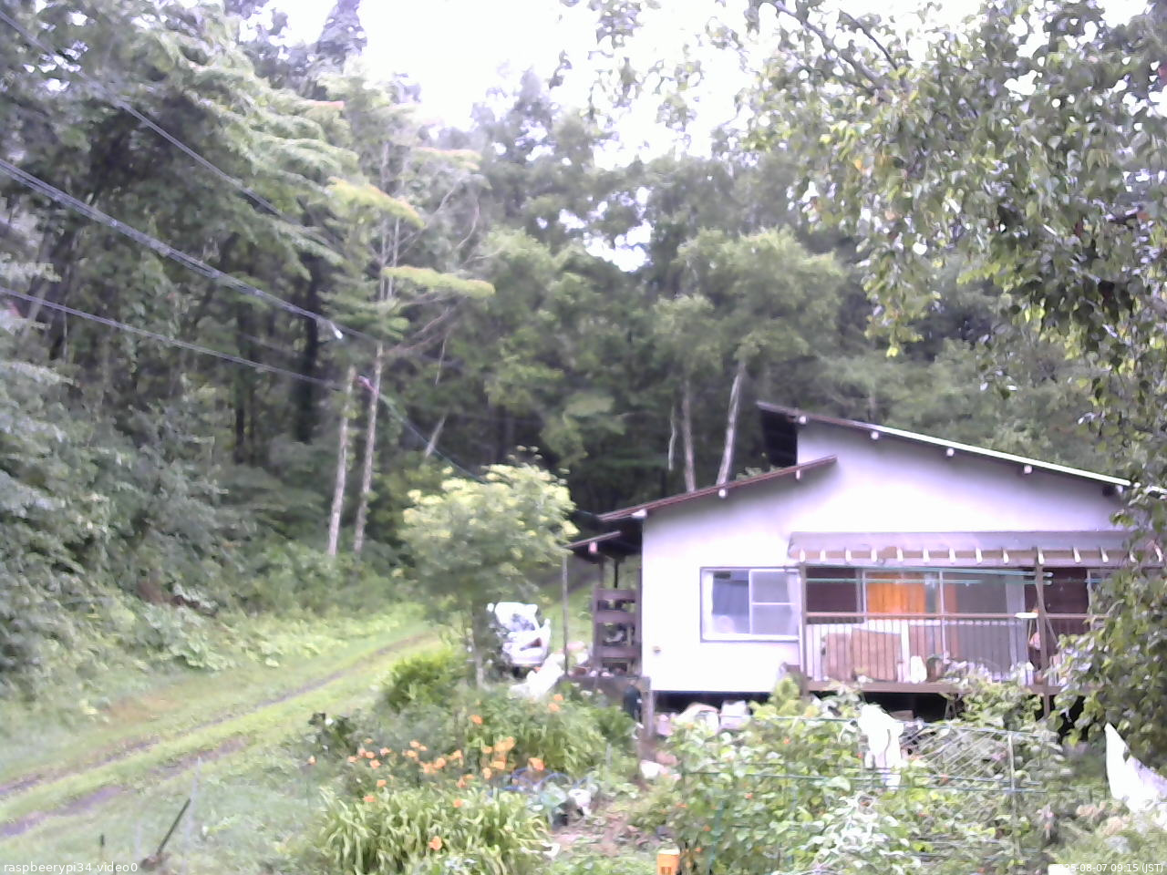 長野県菅平高原 ゆたか山荘 西側(坂上) 2025/08/07 09:15