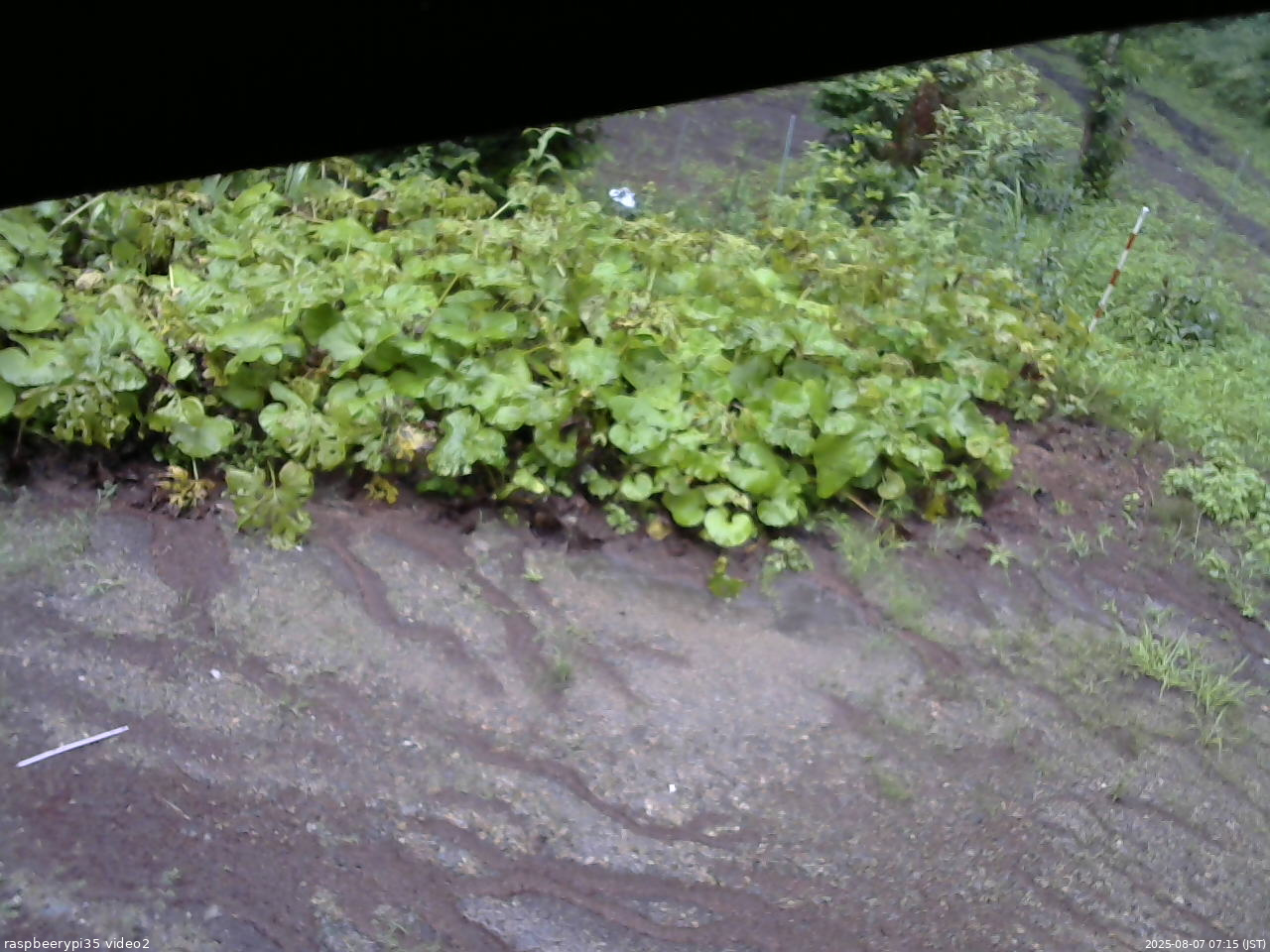 長野県菅平高原 ゆたか山荘 駐車場 2025/08/07 07:15