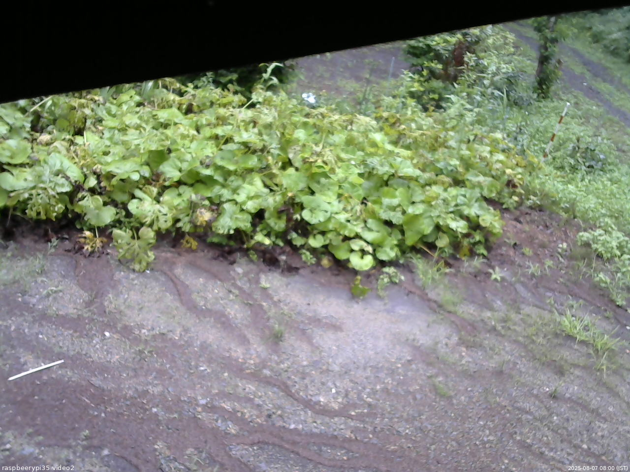 長野県菅平高原 ゆたか山荘 駐車場 2025/08/07 08:00