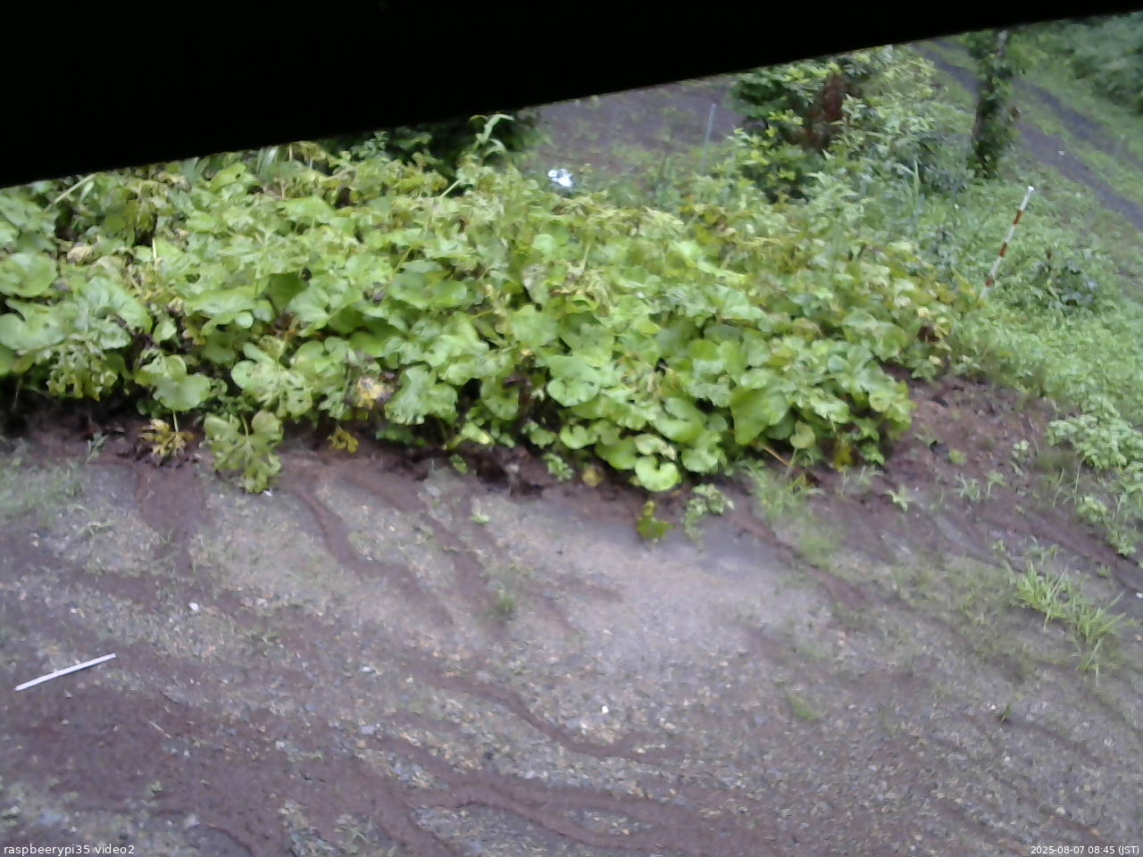 長野県菅平高原 ゆたか山荘 駐車場 2025/08/07 08:45