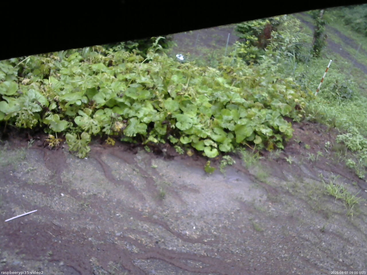 長野県菅平高原 ゆたか山荘 駐車場 2025/08/07 09:00