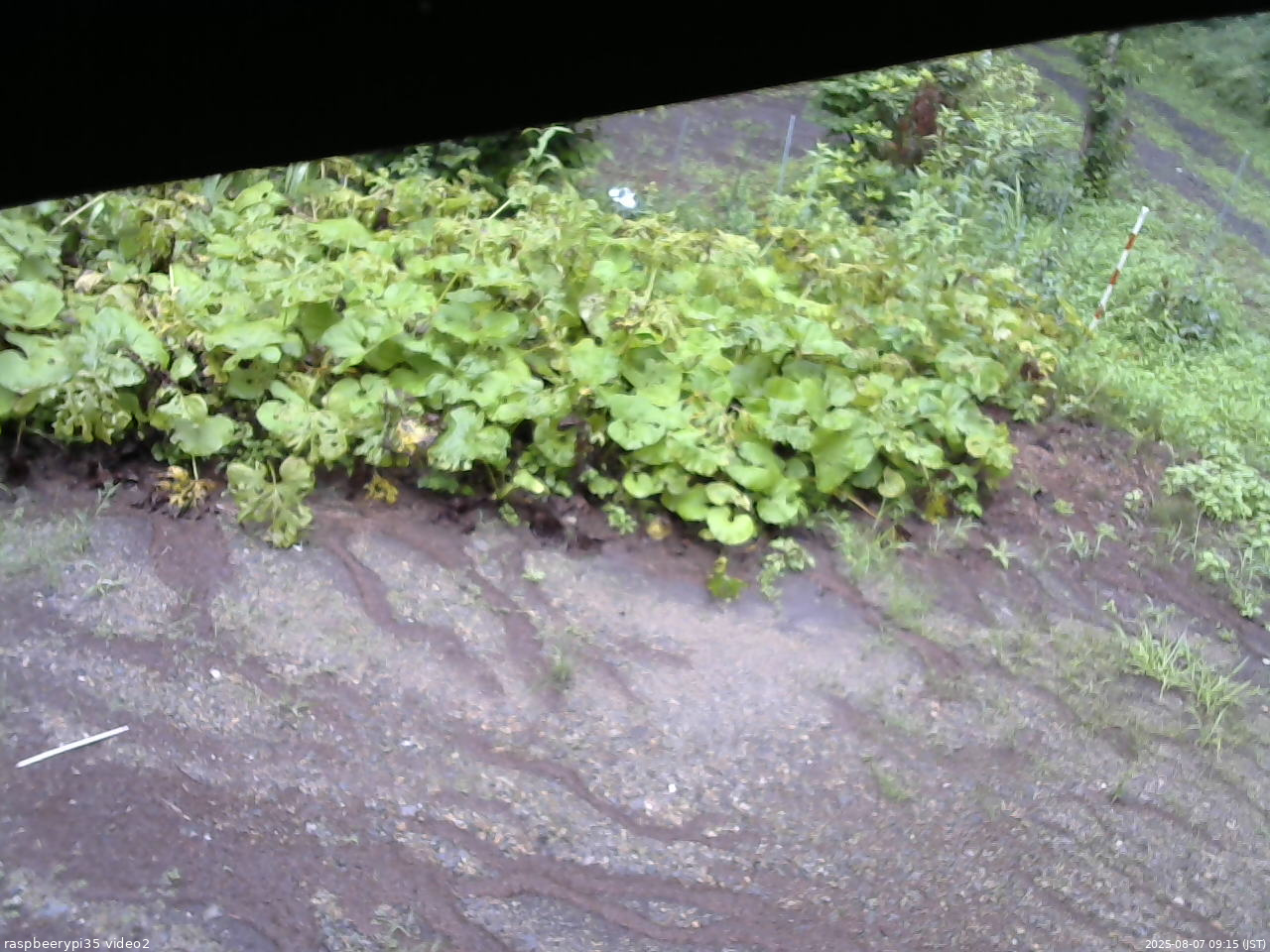 長野県菅平高原 ゆたか山荘 駐車場 2025/08/07 09:15