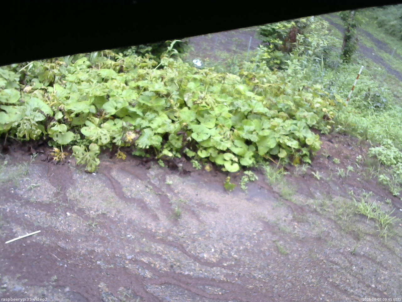 長野県菅平高原 ゆたか山荘 駐車場 2025/08/07 09:45