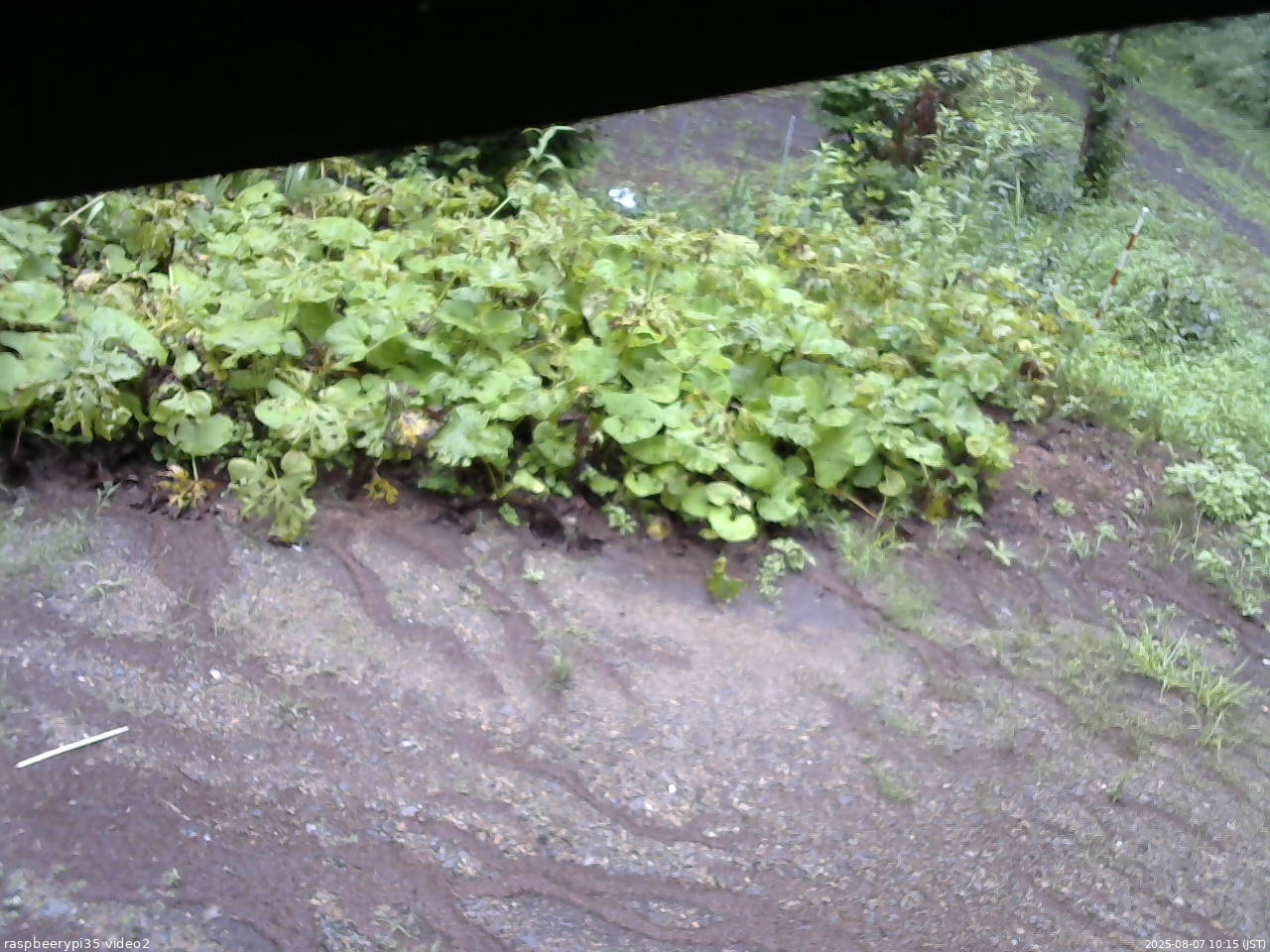 長野県菅平高原 ゆたか山荘 駐車場 2025/08/07 10:15