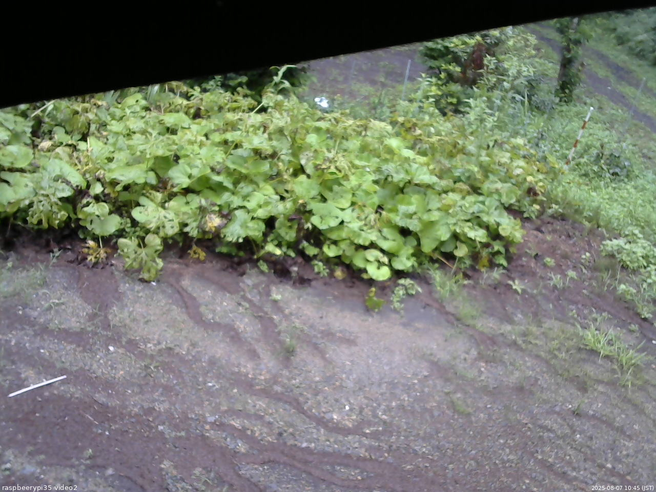 長野県菅平高原 ゆたか山荘 駐車場 2025/08/07 10:45