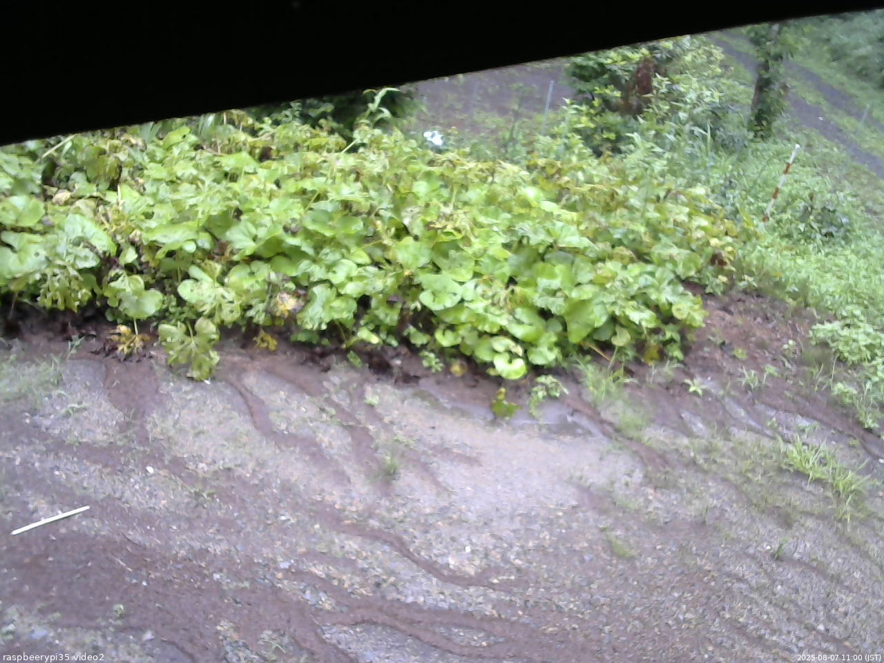 長野県菅平高原 ゆたか山荘 駐車場 2025/08/07 11:00