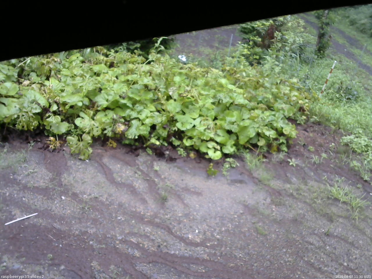 長野県菅平高原 ゆたか山荘 駐車場 2025/08/07 11:30