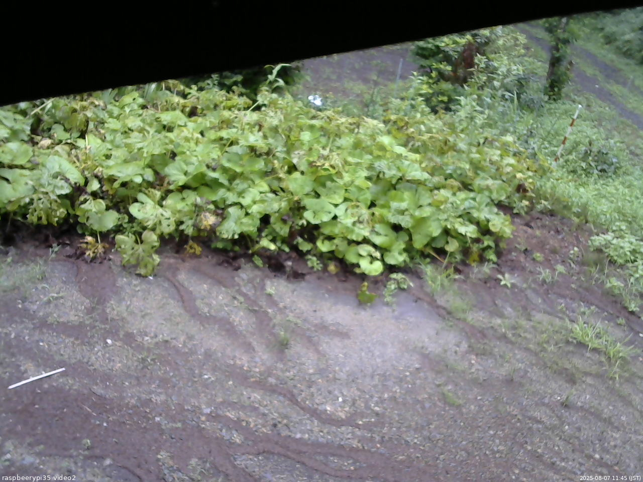 長野県菅平高原 ゆたか山荘 駐車場 2025/08/07 11:45