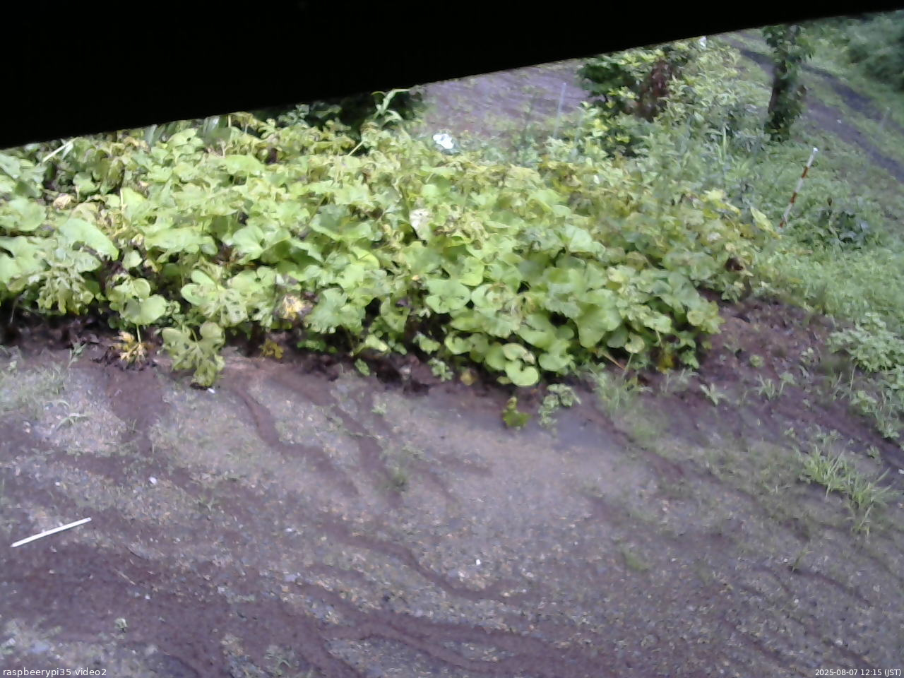 長野県菅平高原 ゆたか山荘 駐車場 2025/08/07 12:15
