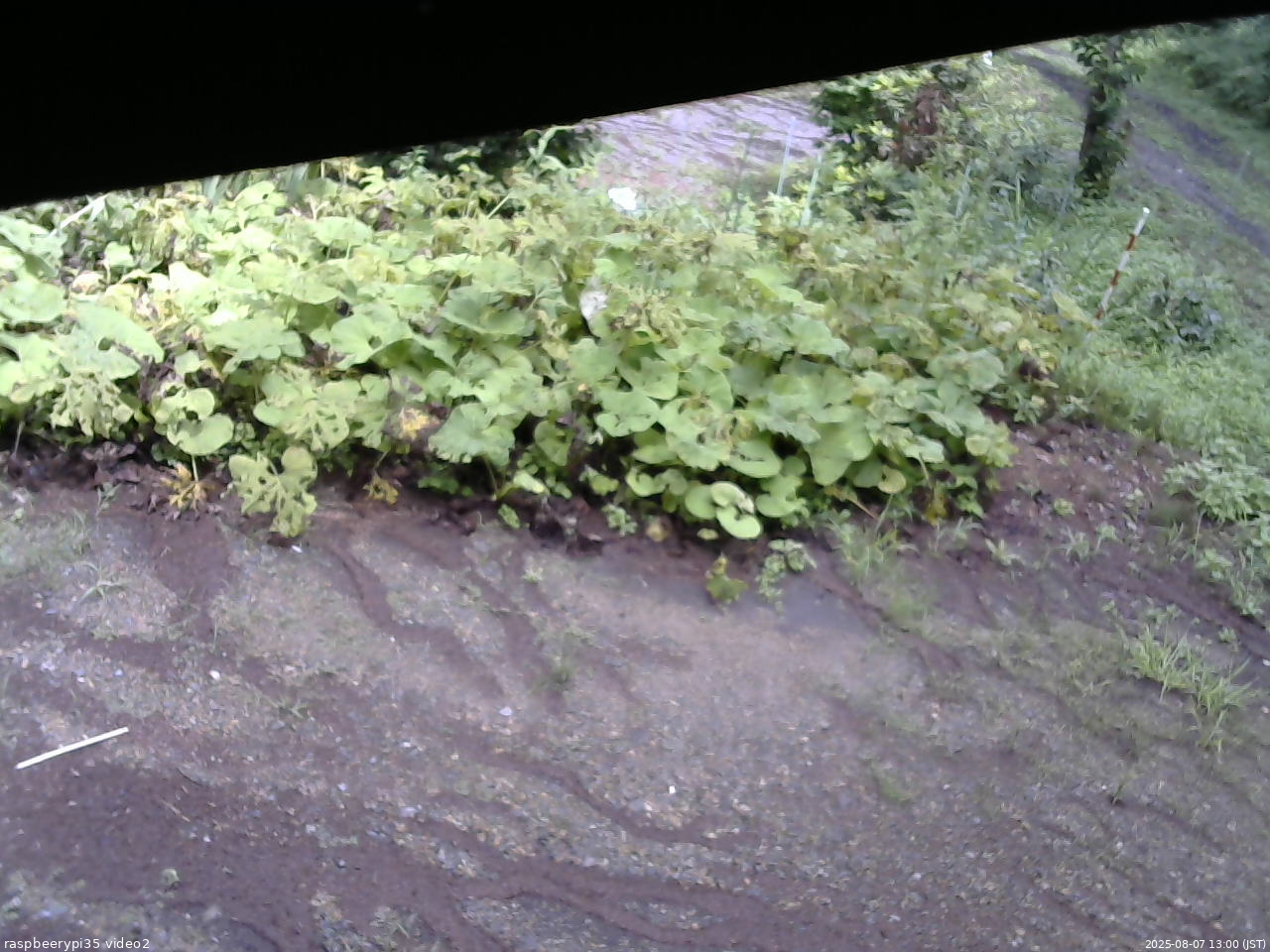 長野県菅平高原 ゆたか山荘 駐車場 2025/08/07 13:00