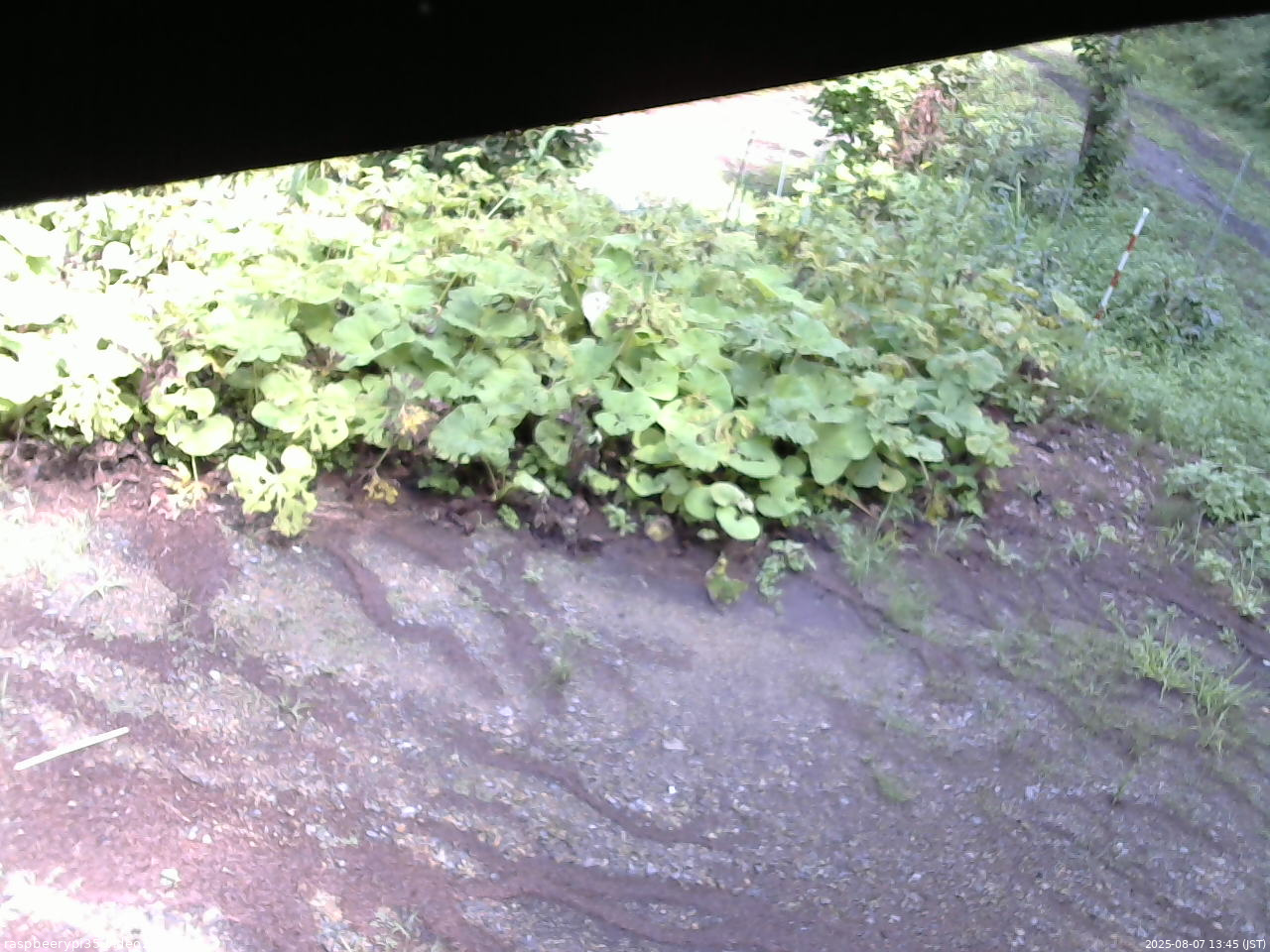 長野県菅平高原 ゆたか山荘 駐車場 2025/08/07 13:45