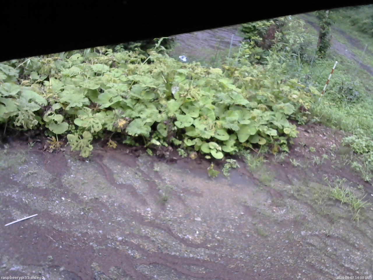 長野県菅平高原 ゆたか山荘 駐車場 2025/08/07 14:00