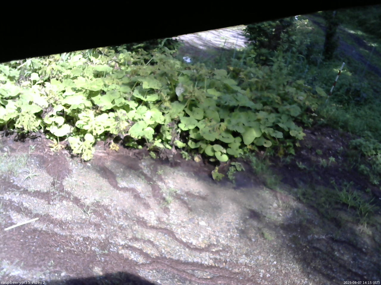長野県菅平高原 ゆたか山荘 駐車場 2025/08/07 14:15