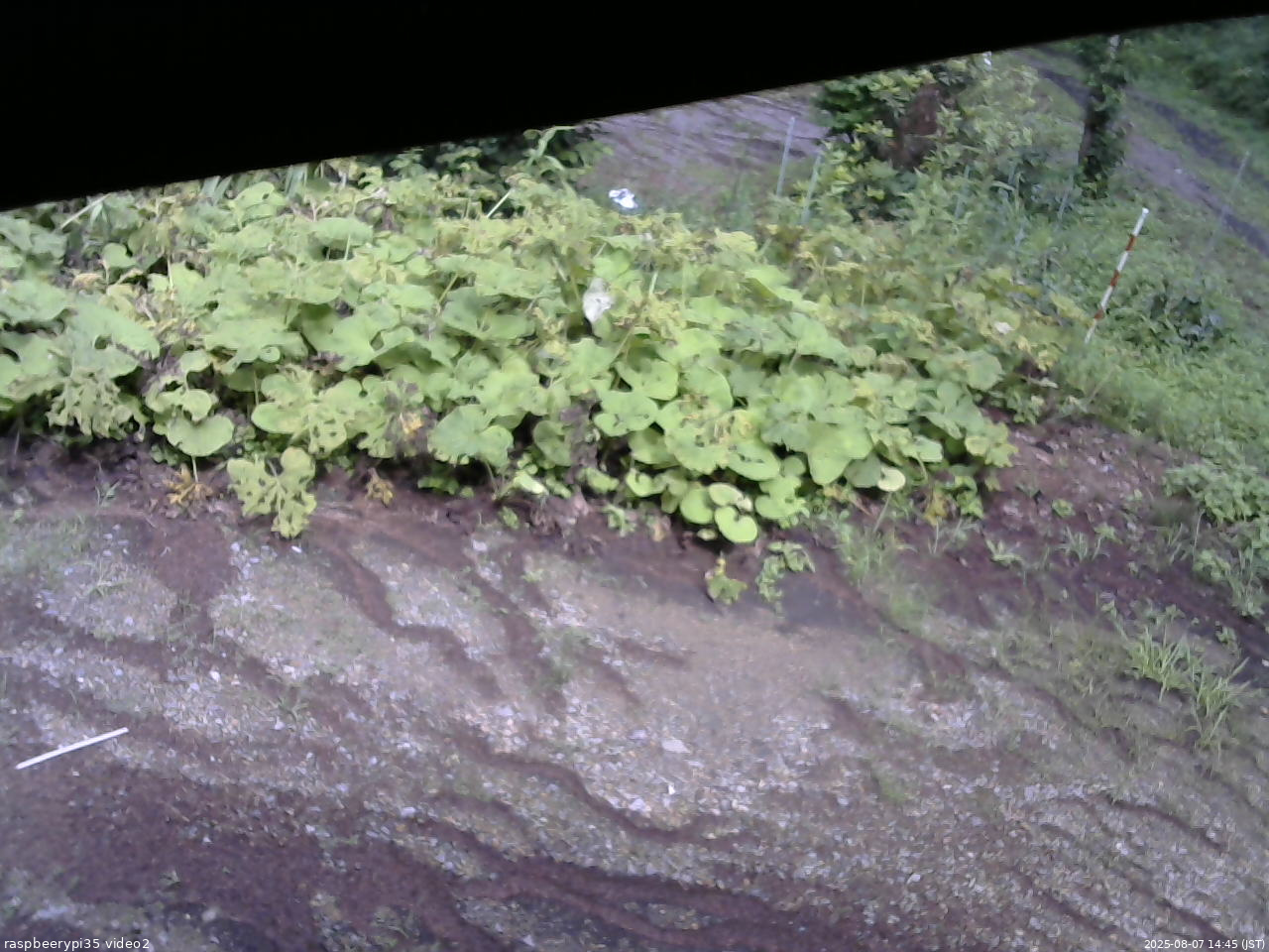 長野県菅平高原 ゆたか山荘 駐車場 2025/08/07 14:45