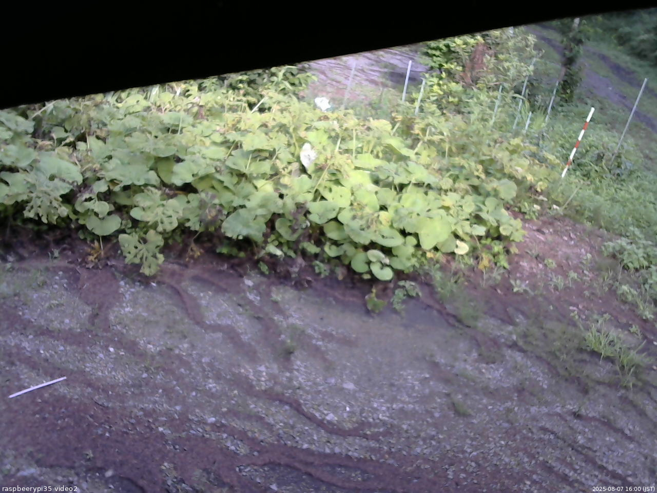 長野県菅平高原 ゆたか山荘 駐車場 2025/08/07 16:00