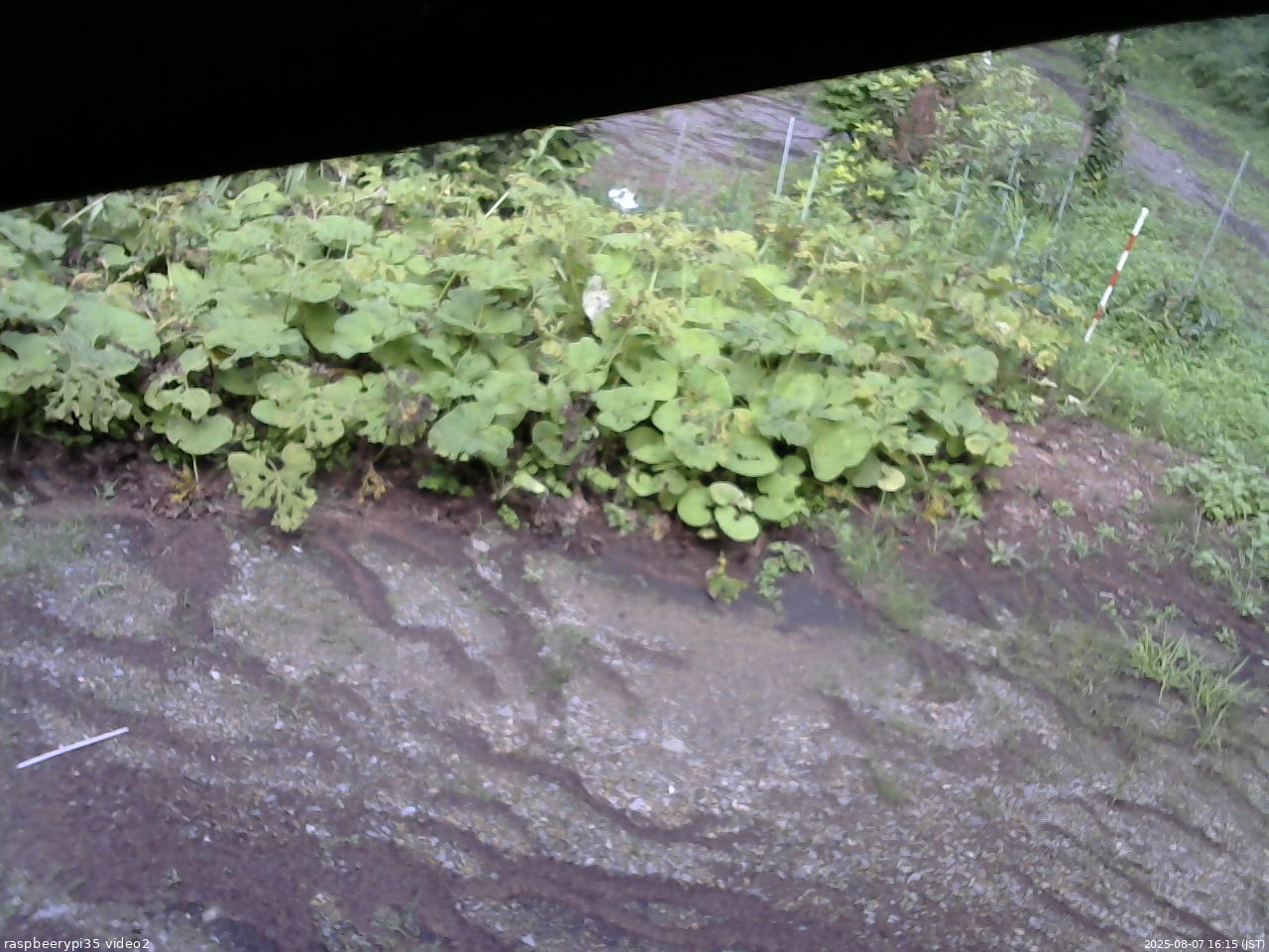 長野県菅平高原 ゆたか山荘 駐車場 2025/08/07 16:15