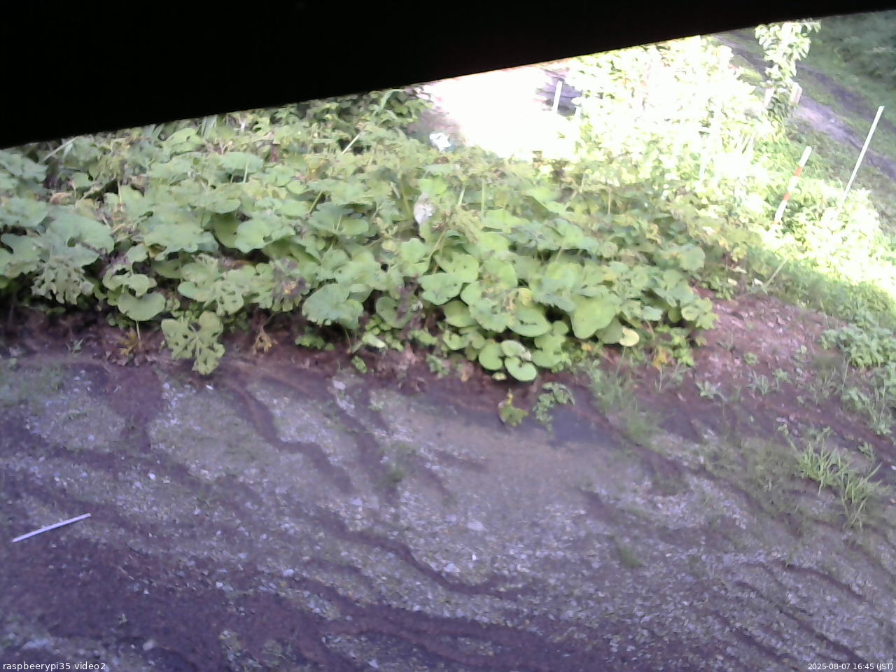 長野県菅平高原 ゆたか山荘 駐車場 2025/08/07 16:45