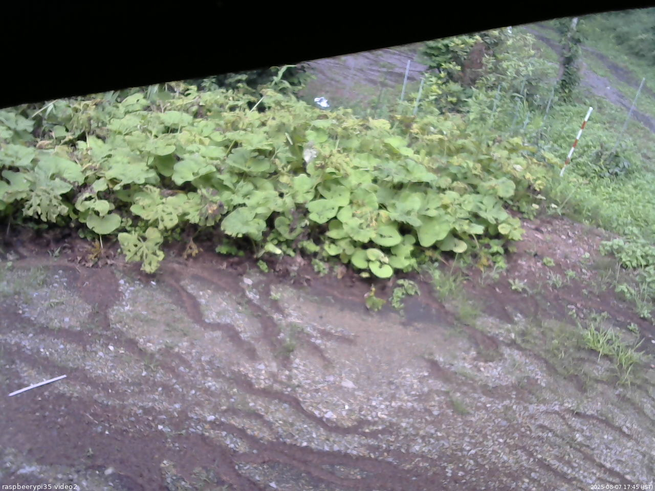 長野県菅平高原 ゆたか山荘 駐車場 2025/08/07 17:45