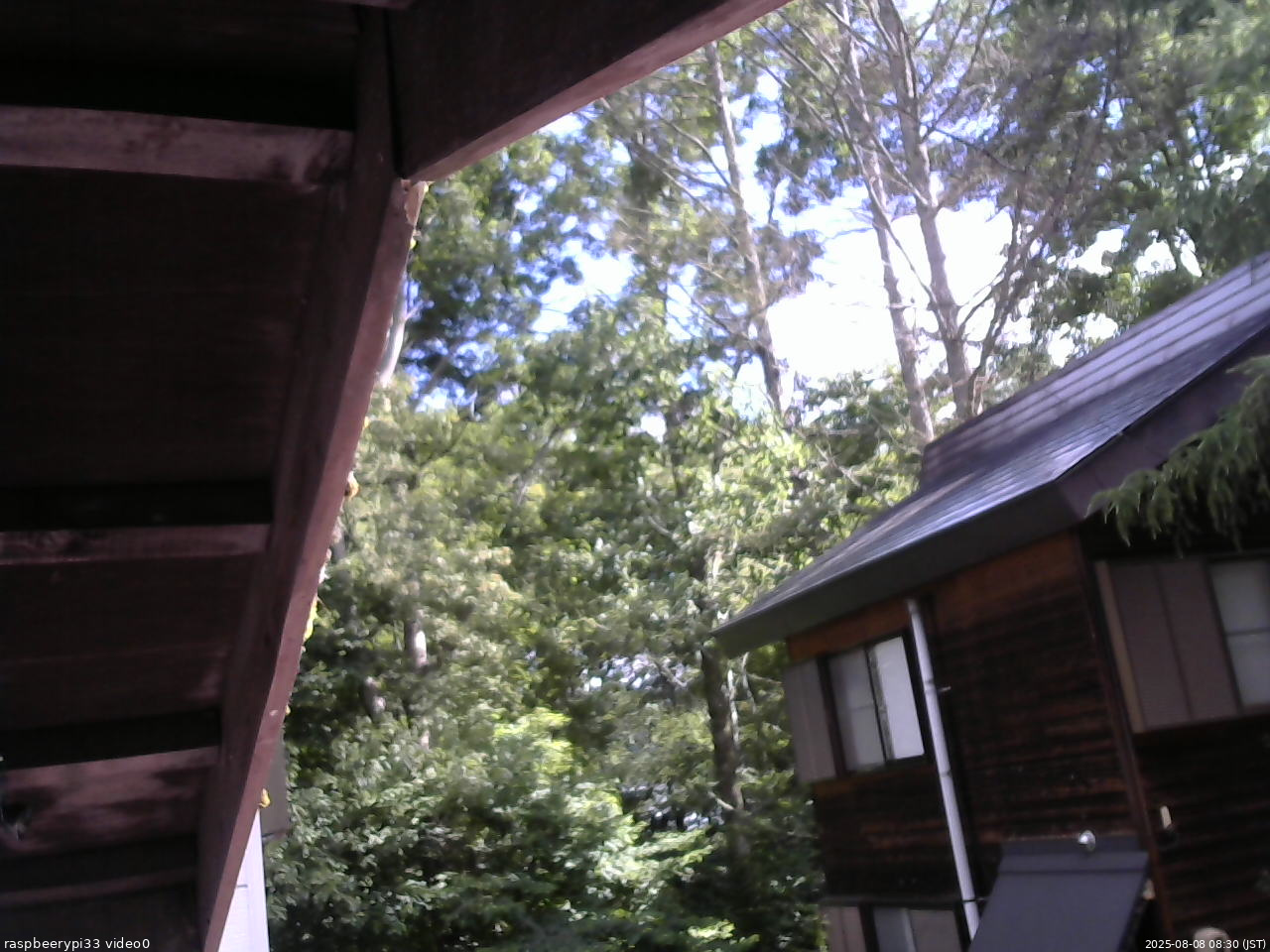 長野県菅平高原 ゆたか山荘 北側 2025/08/08 08:30