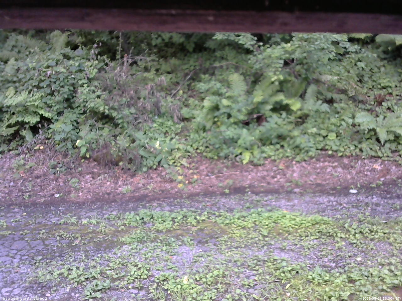 長野県菅平高原 ゆたか山荘 南側 2025/08/08 13:30