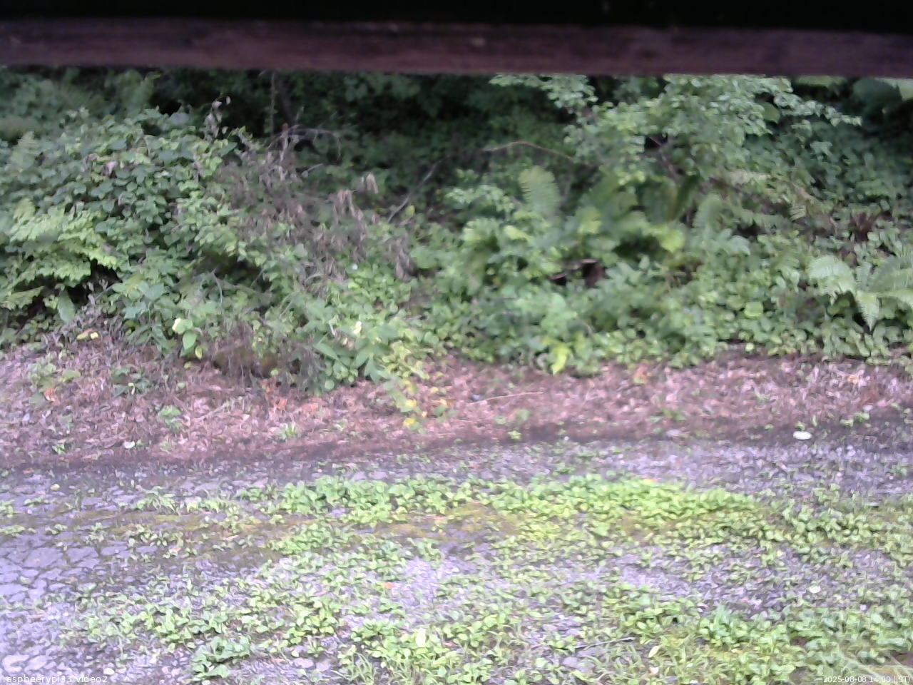 長野県菅平高原 ゆたか山荘 南側 2025/08/08 14:00