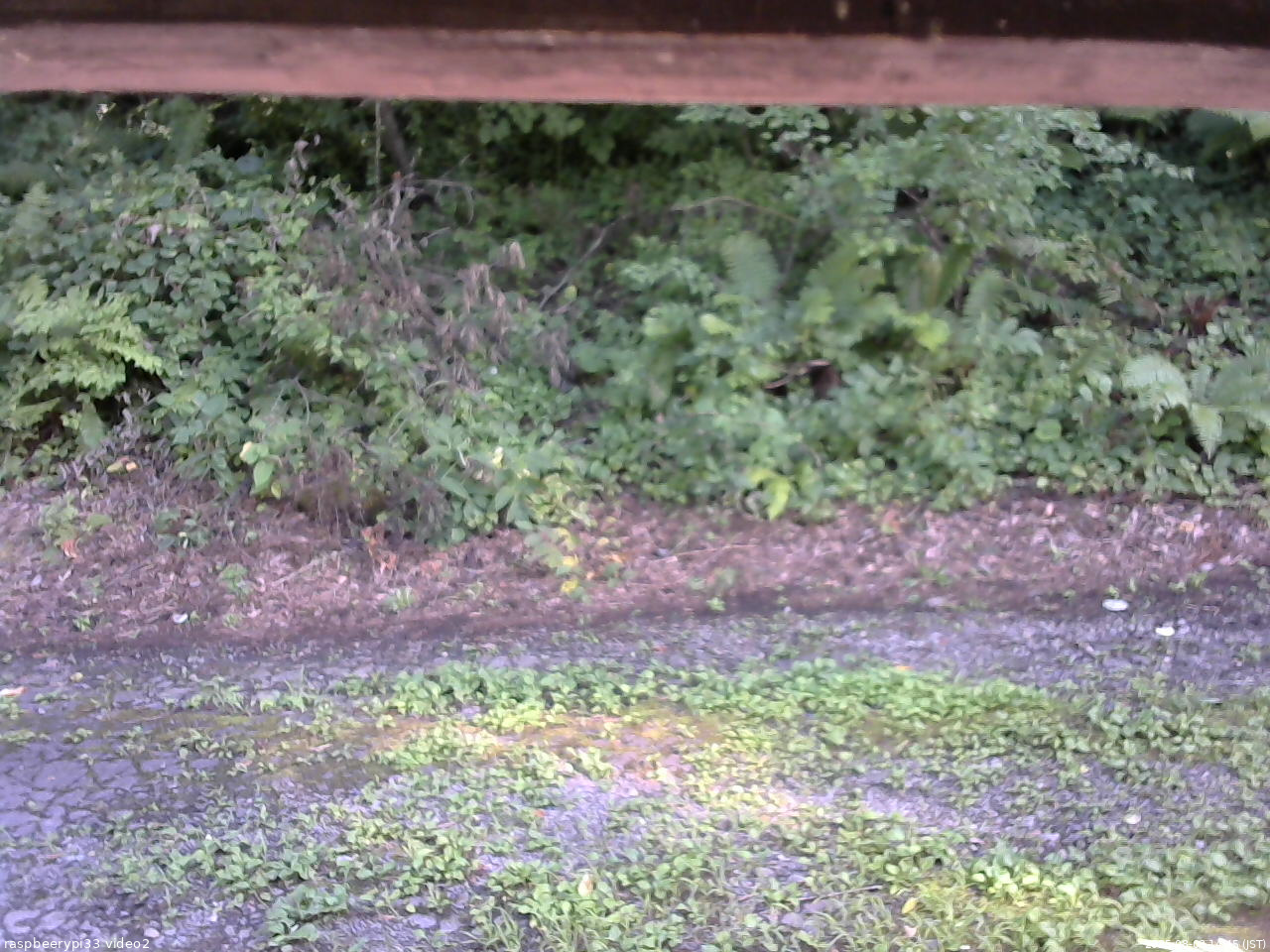 長野県菅平高原 ゆたか山荘 南側 2025/08/08 14:45