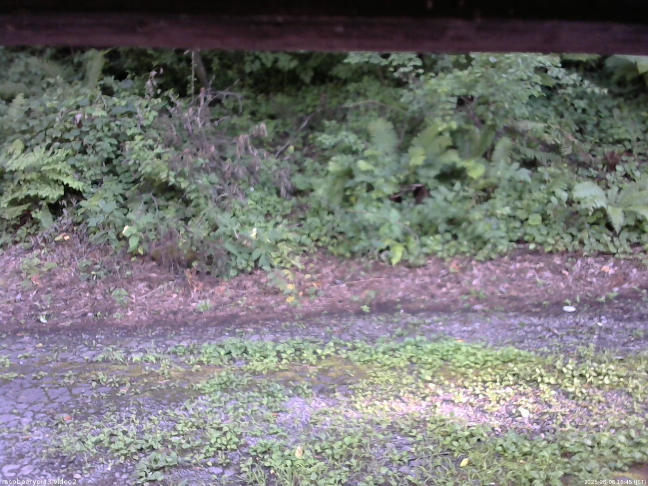 長野県菅平高原 ゆたか山荘 南側 2025/08/08 16:45
