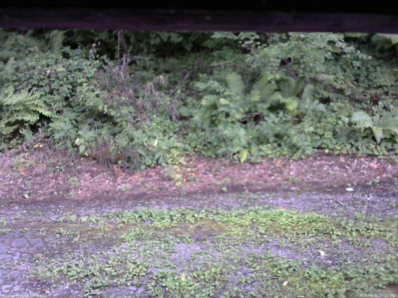 長野県菅平高原 ゆたか山荘 南側 2025/08/08 17:15