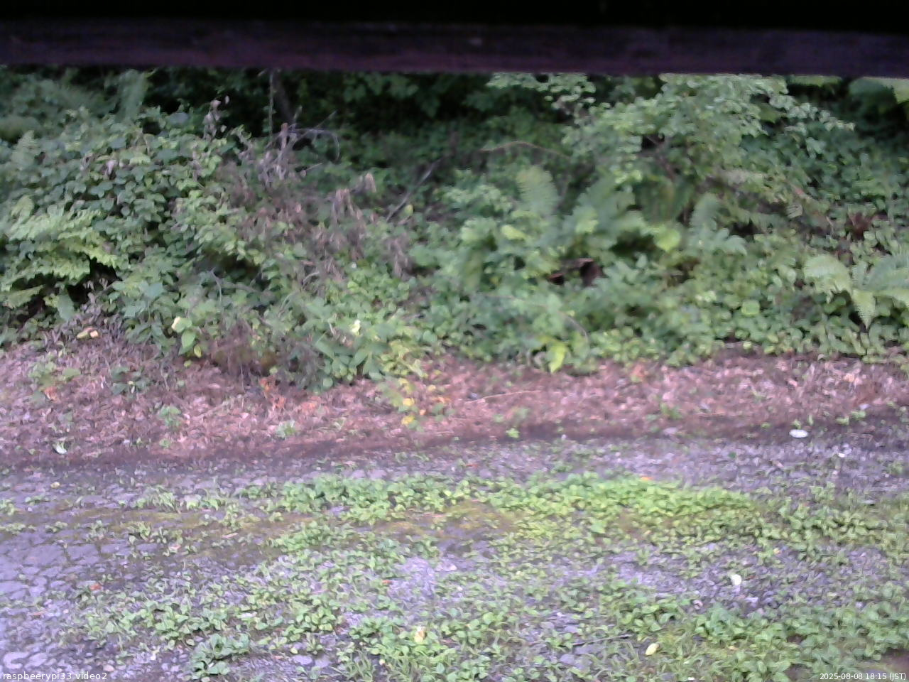 長野県菅平高原 ゆたか山荘 南側 2025/08/08 18:15