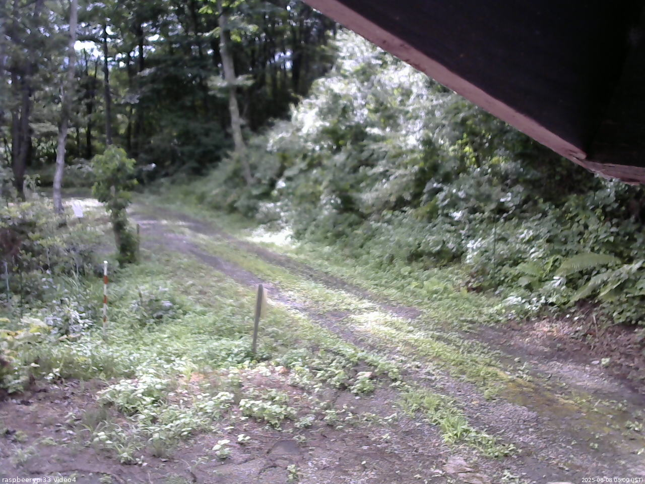 長野県菅平高原 ゆたか山荘 東側(坂下) 2025/08/08 08:00