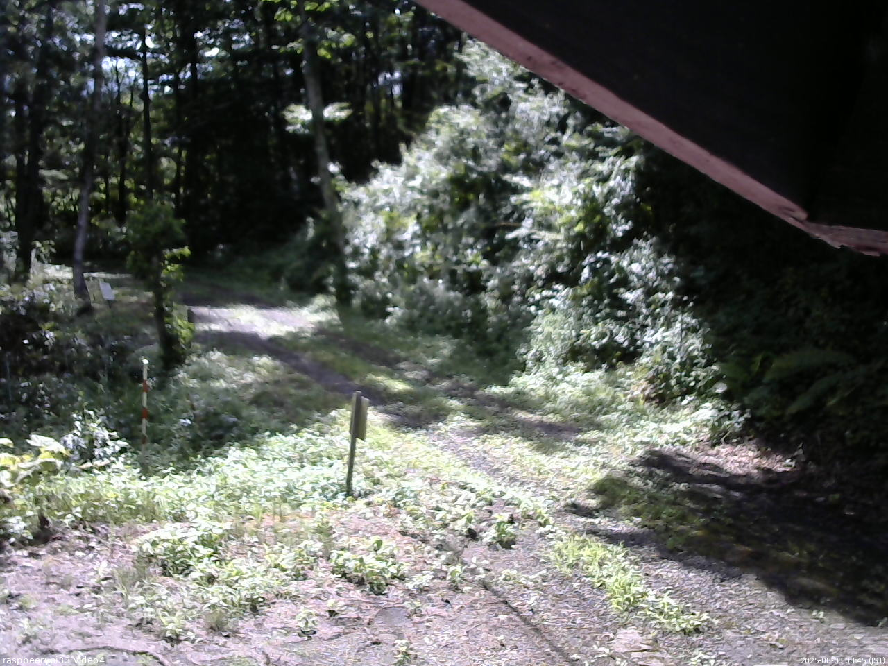長野県菅平高原 ゆたか山荘 東側(坂下) 2025/08/08 08:45