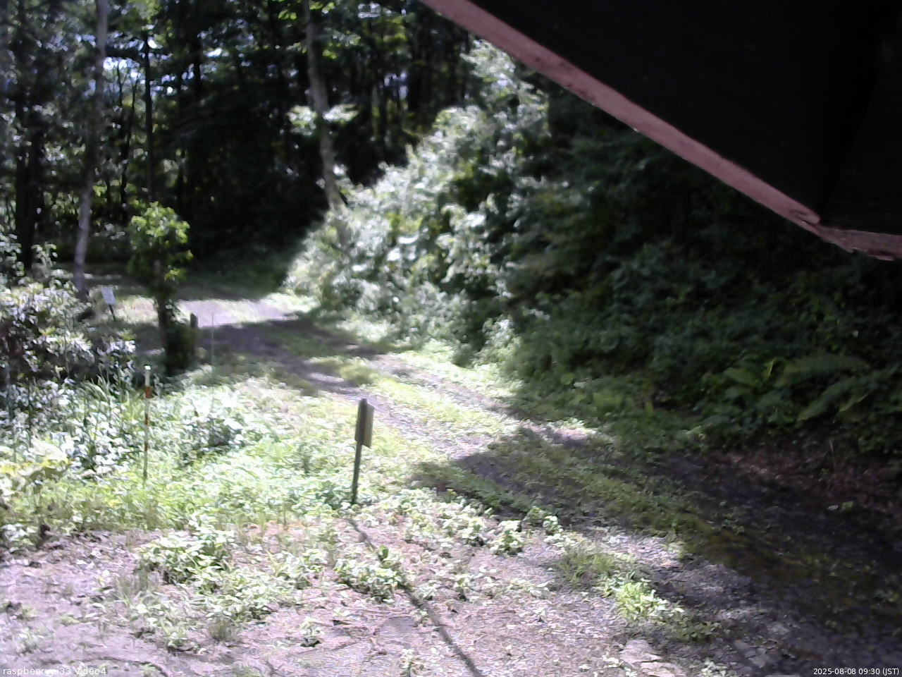 長野県菅平高原 ゆたか山荘 東側(坂下) 2025/08/08 09:30