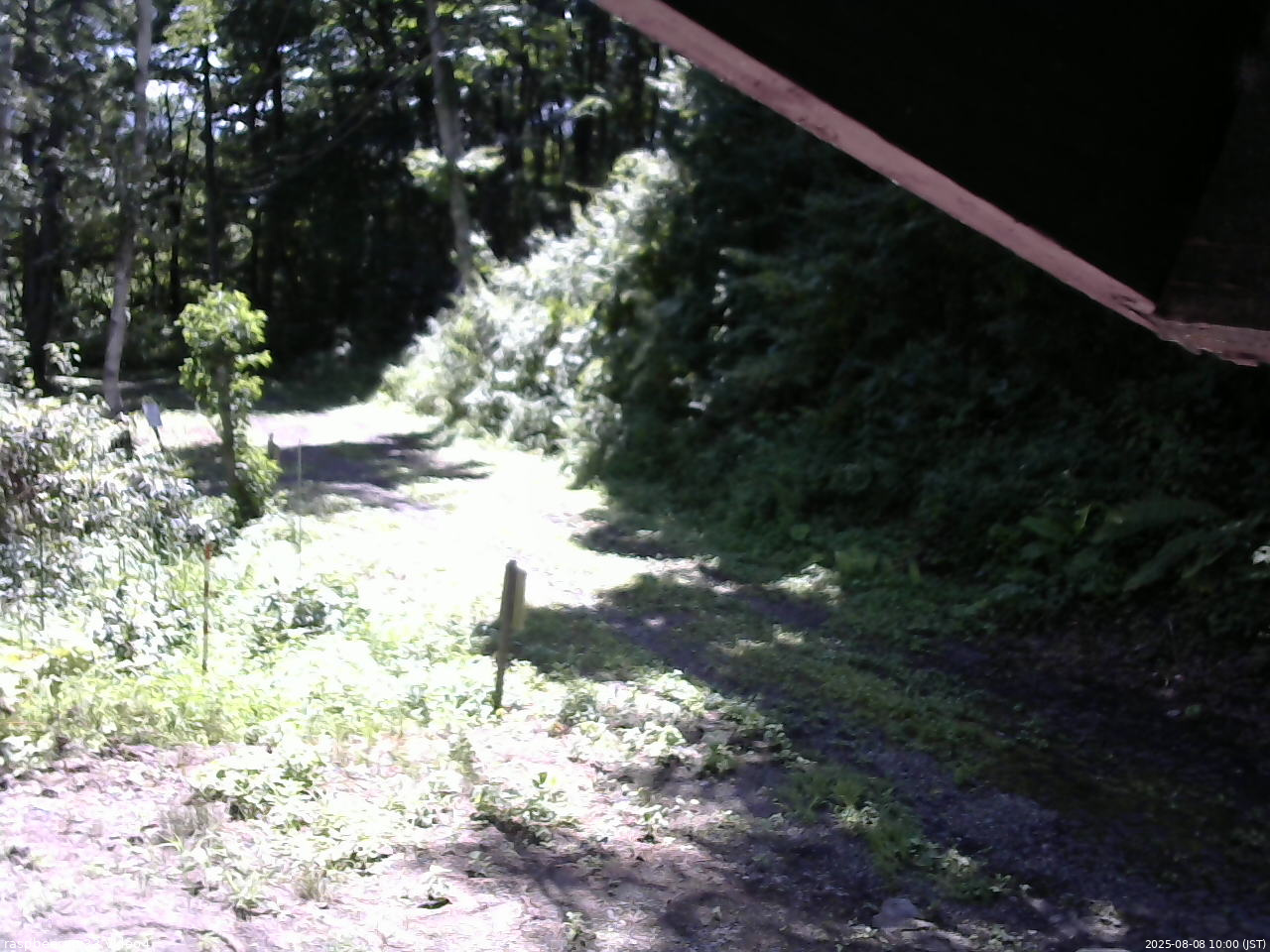長野県菅平高原 ゆたか山荘 東側(坂下) 2025/08/08 10:00