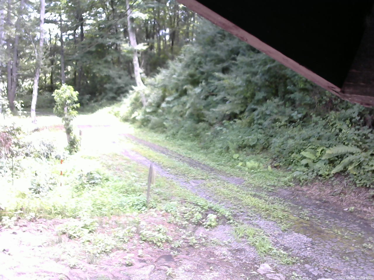 長野県菅平高原 ゆたか山荘 東側(坂下) 2025/08/08 11:30
