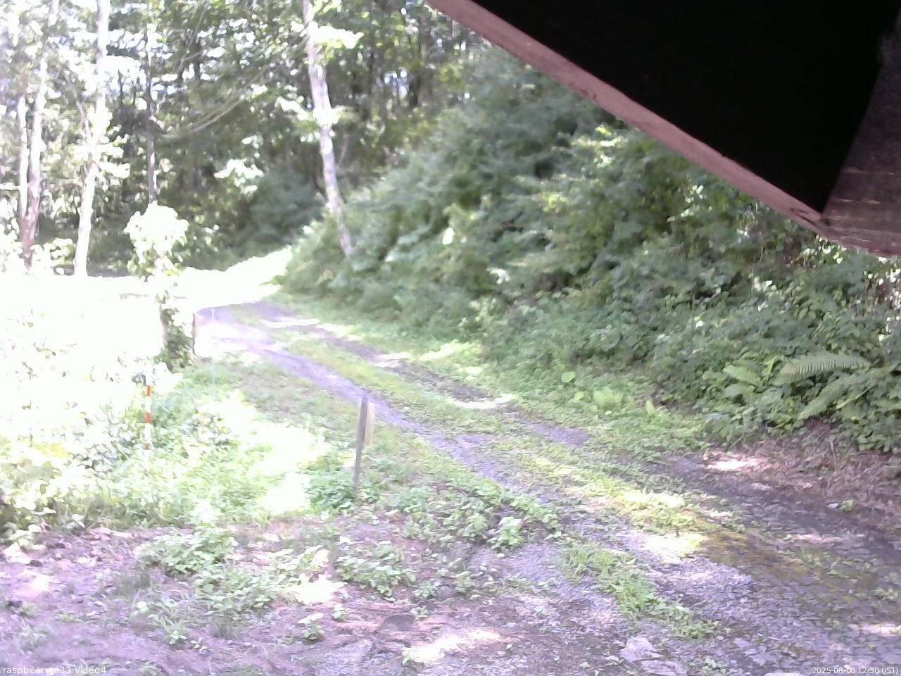 長野県菅平高原 ゆたか山荘 東側(坂下) 2025/08/08 12:30
