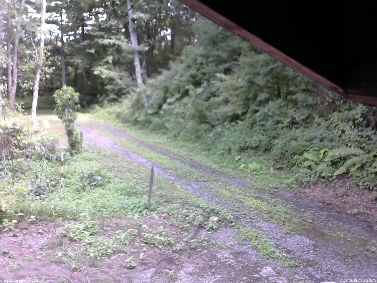 長野県菅平高原 ゆたか山荘 東側(坂下) 2025/08/08 13:30