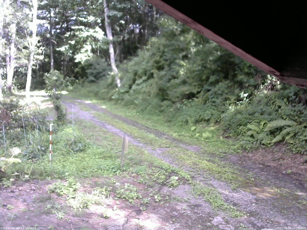 長野県菅平高原 ゆたか山荘 東側(坂下) 2025/08/08 14:15