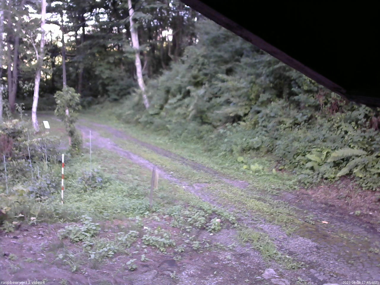 長野県菅平高原 ゆたか山荘 東側(坂下) 2025/08/08 17:45