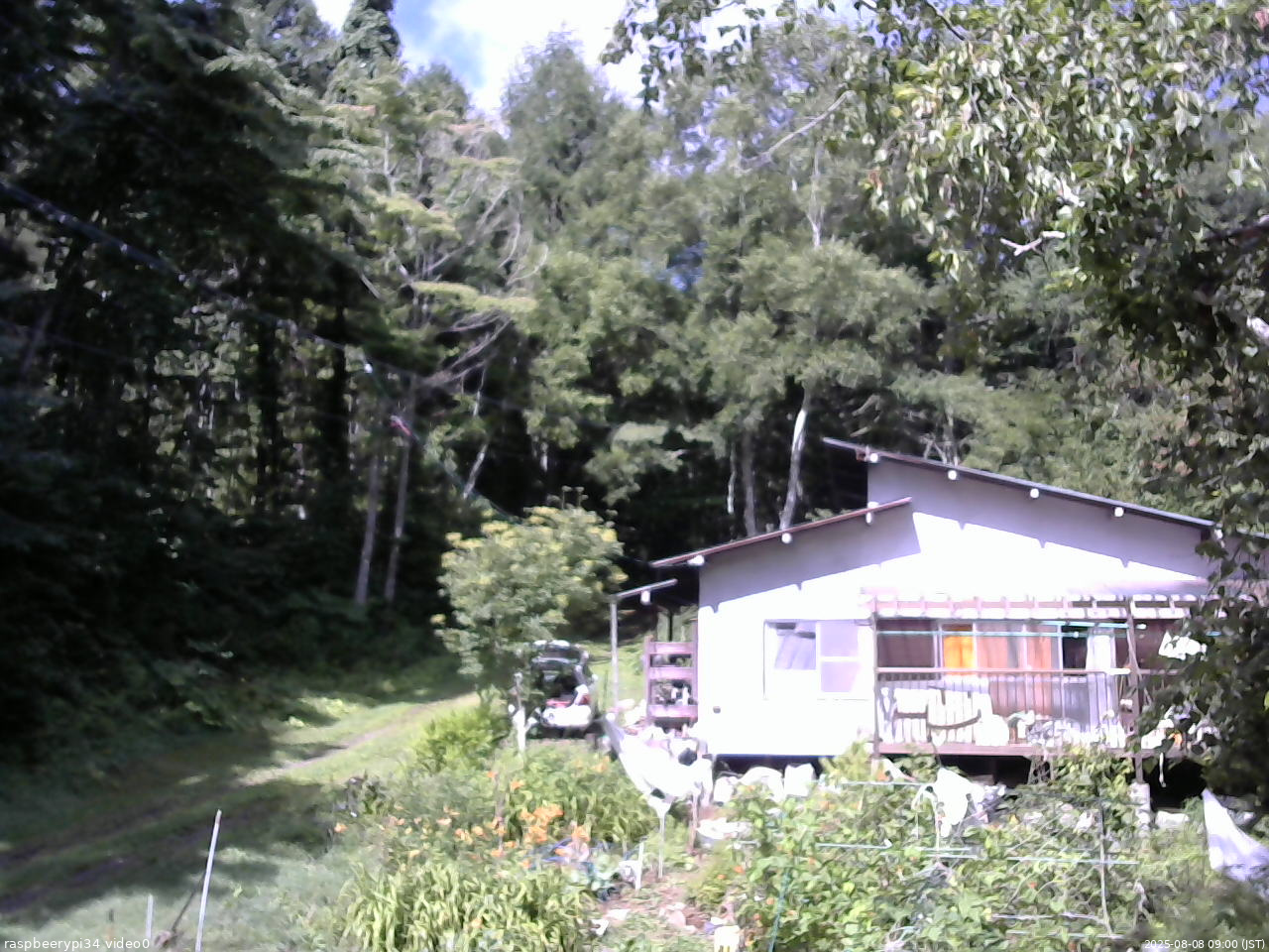 長野県菅平高原 ゆたか山荘 西側(坂上) 2025/08/08 09:00