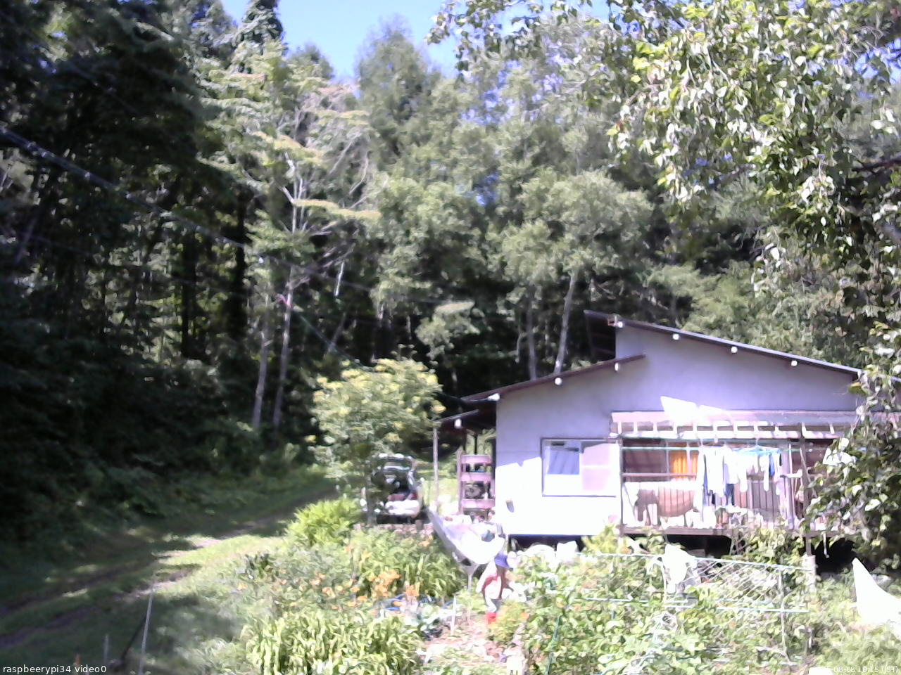 長野県菅平高原 ゆたか山荘 西側(坂上) 2025/08/08 10:15
