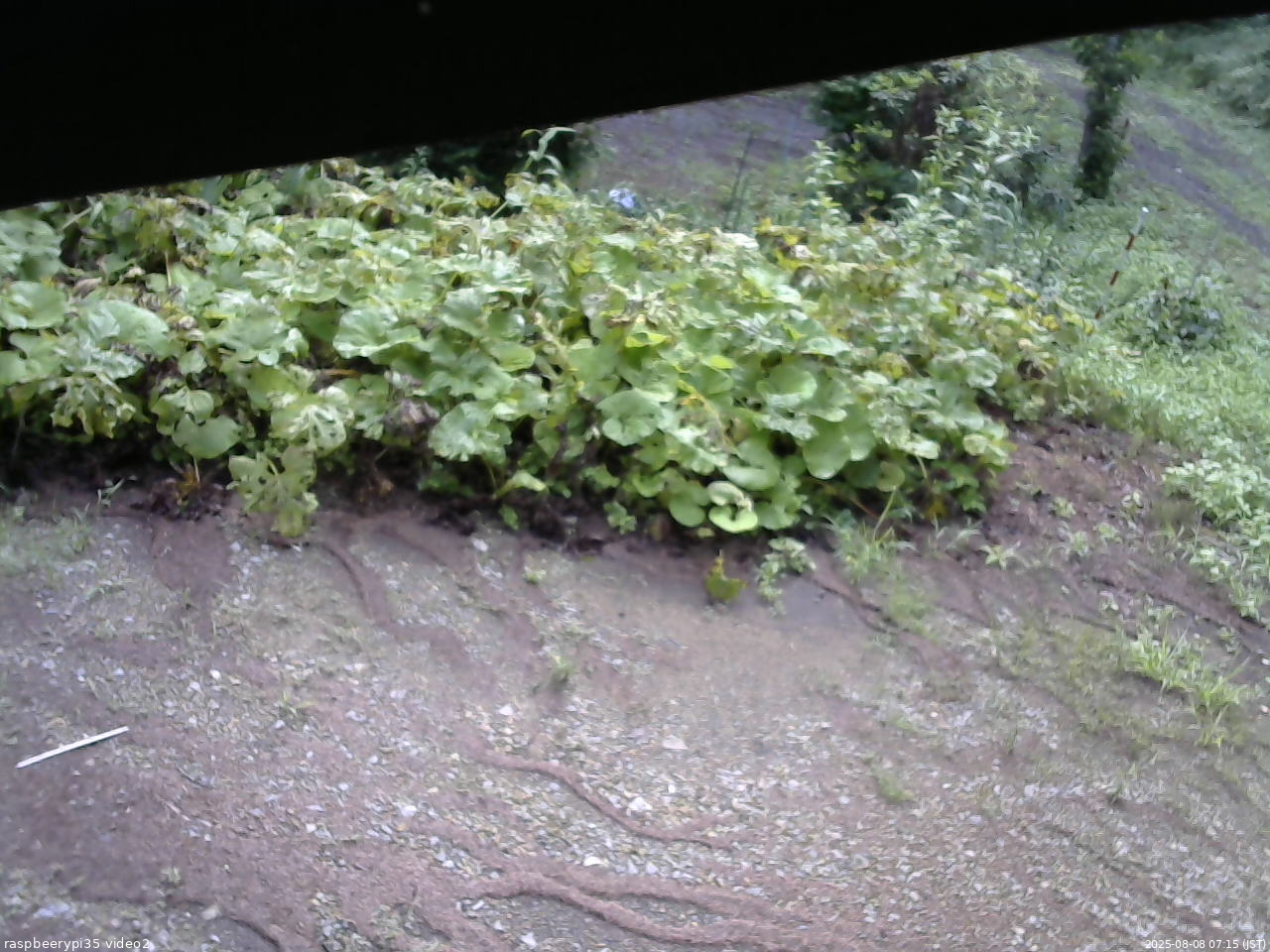長野県菅平高原 ゆたか山荘 駐車場 2025/08/08 07:15