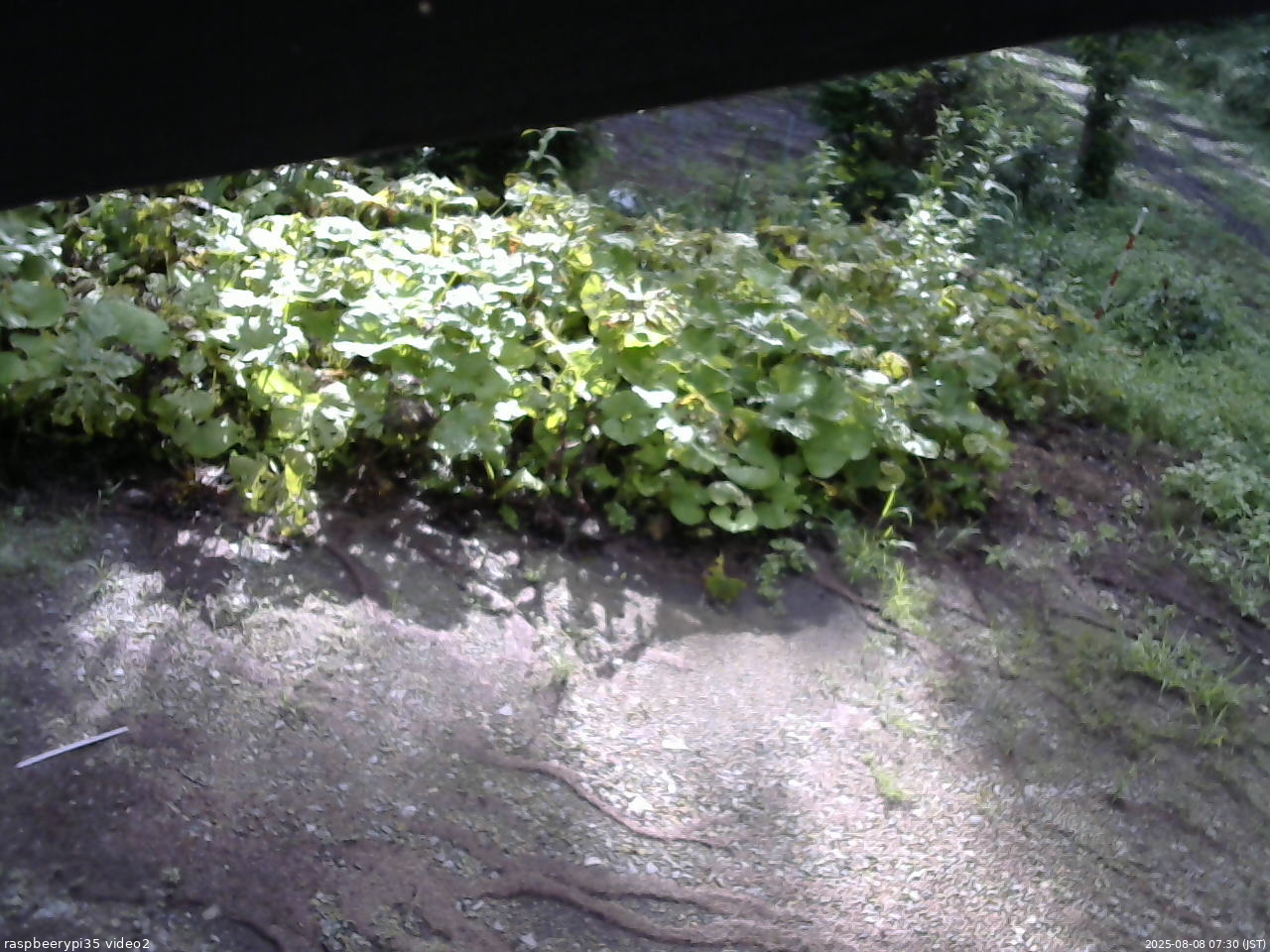 長野県菅平高原 ゆたか山荘 駐車場 2025/08/08 07:30