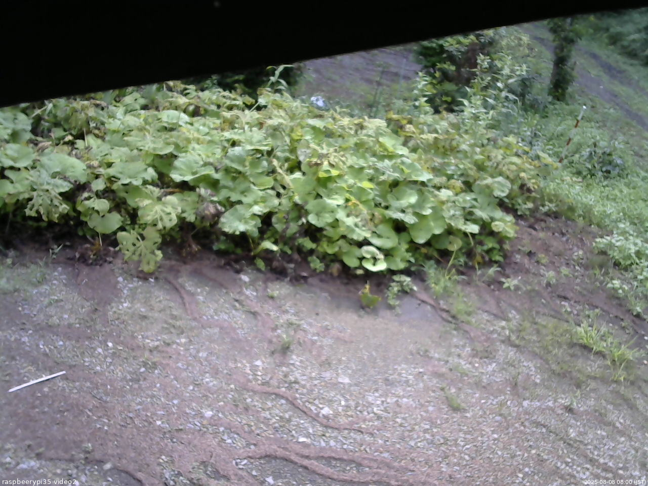 長野県菅平高原 ゆたか山荘 駐車場 2025/08/08 08:00