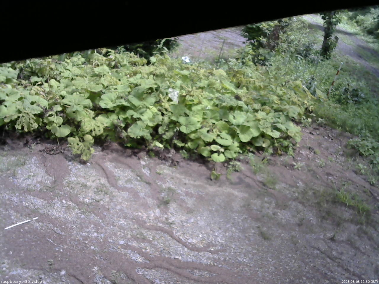 長野県菅平高原 ゆたか山荘 駐車場 2025/08/08 11:30