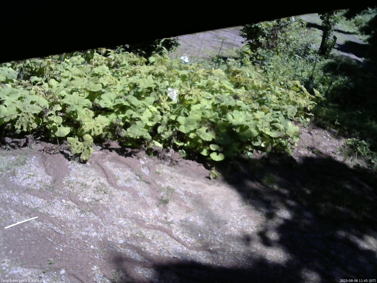 長野県菅平高原 ゆたか山荘 駐車場 2025/08/08 11:45