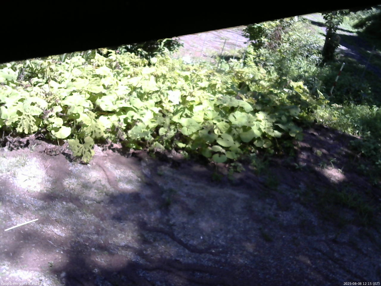 長野県菅平高原 ゆたか山荘 駐車場 2025/08/08 12:15