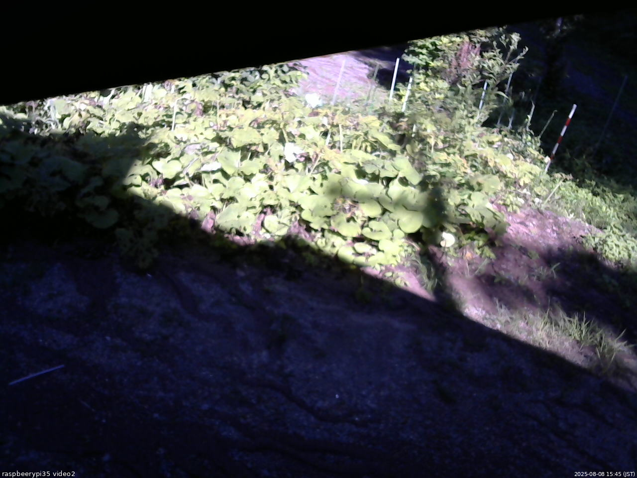長野県菅平高原 ゆたか山荘 駐車場 2025/08/08 15:45
