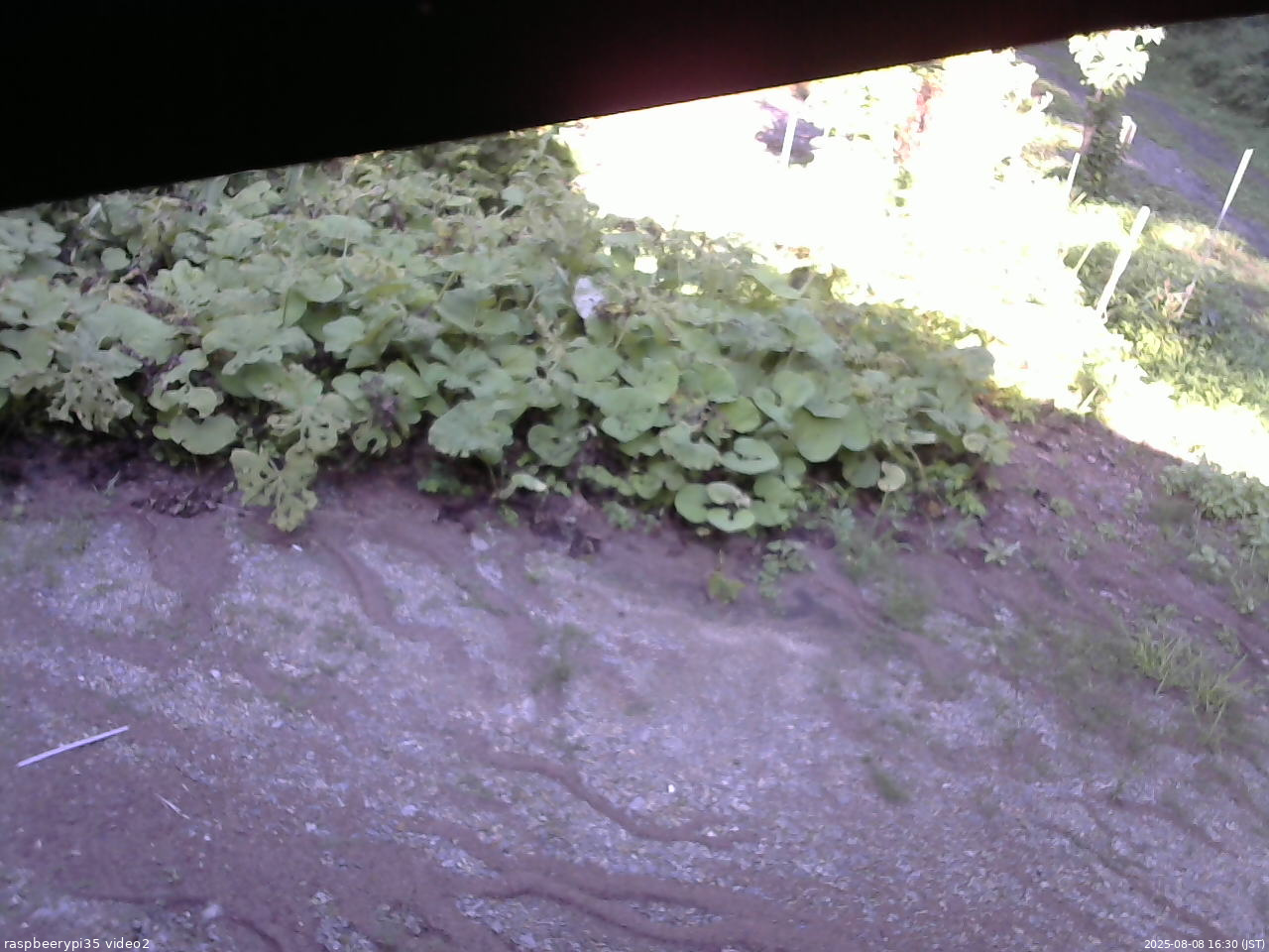 長野県菅平高原 ゆたか山荘 駐車場 2025/08/08 16:30